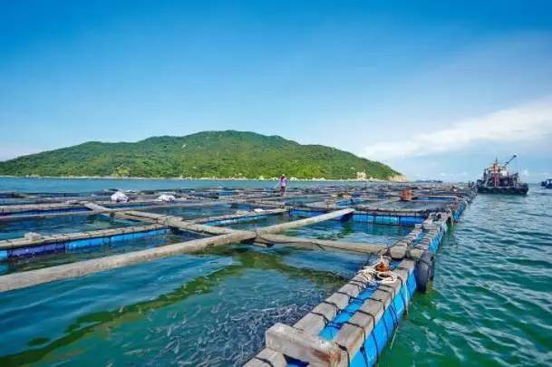 1639992741263529.jpg src=http_%2F%2F5b0988e595225.cdn.sohucs.com%2Fimages%2F20170830%2F4bbdfc43422e4c58a8bdd40770f638a0.jpeg&refer=http_%2F%2F5b0988e595225.cdn.sohucs.jpg